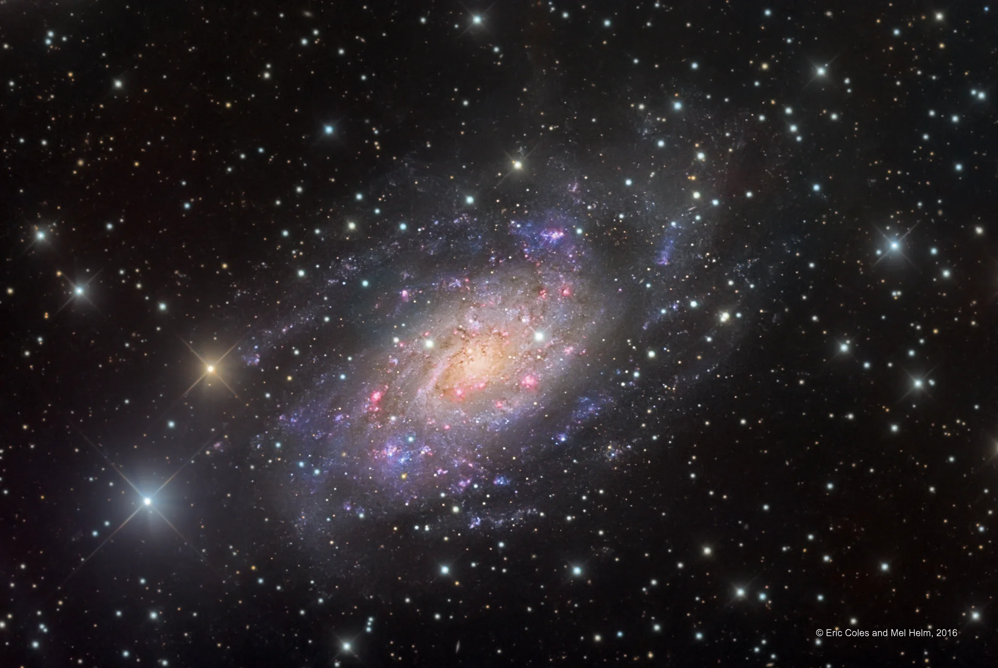 NGC 2403 in Camelopardalis.jpg