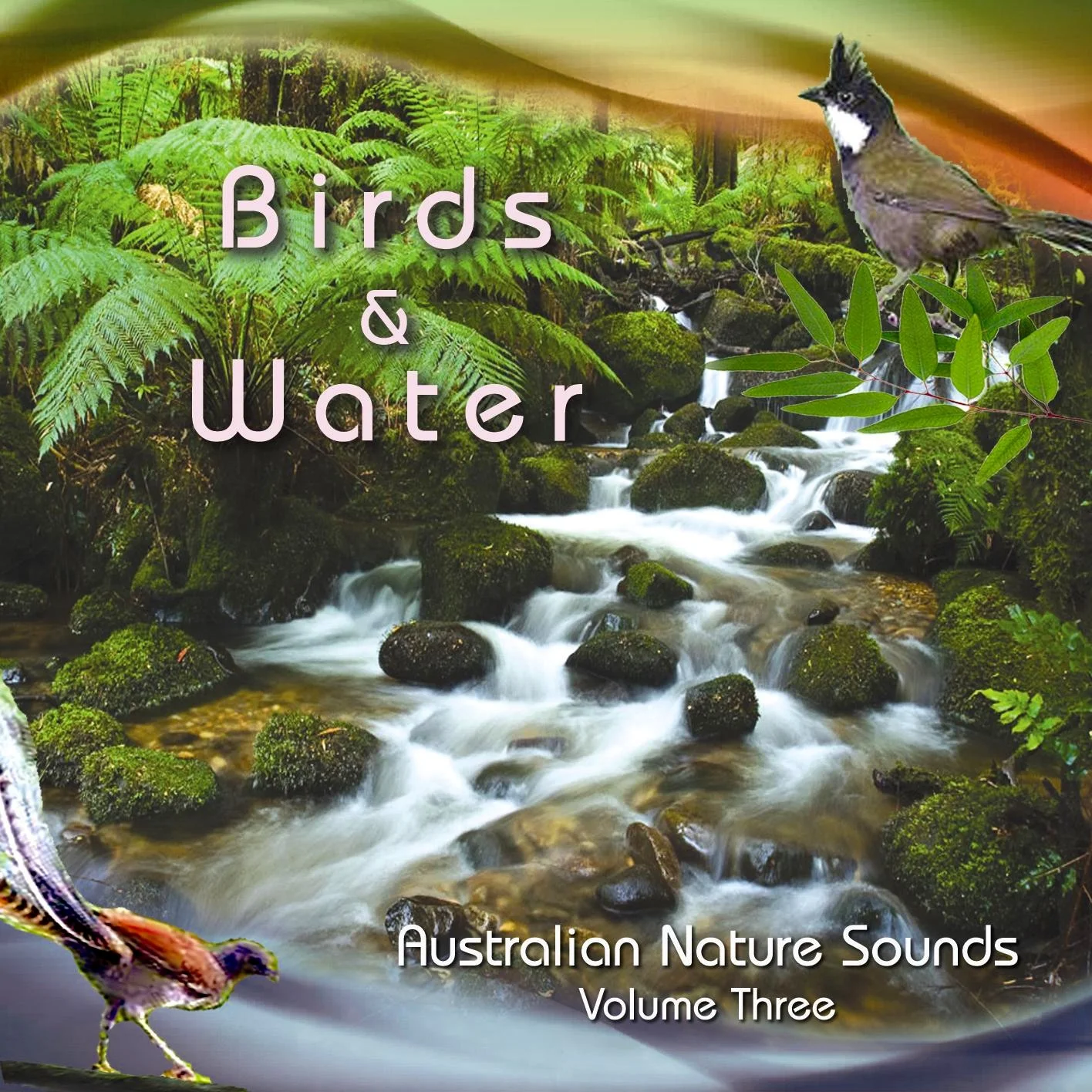 NM+3+Birds+%26+Water+1.jpg