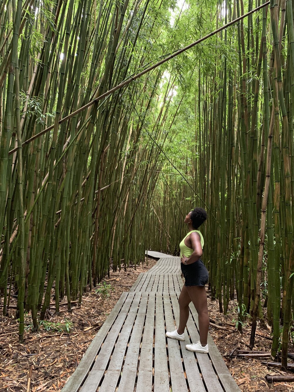  You’ll find this bamboo forest along the trail! 