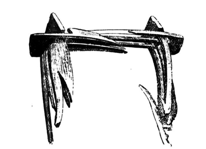 Sketch of "The mind ring" as it was found. From Gustafson (1890a: 12)