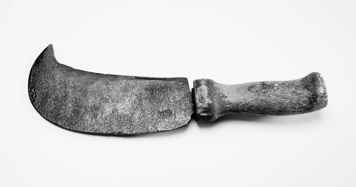 Billhooks have changed little since they first appeared in Scandinavia during the Merovingian Period. Photo: Ragnar H. Albertsen / Stiftelsen Nordmøre Museum