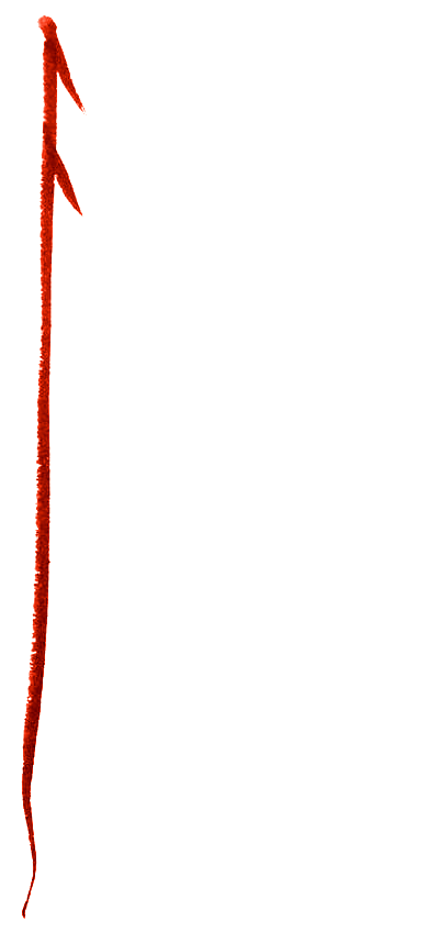 riss.png