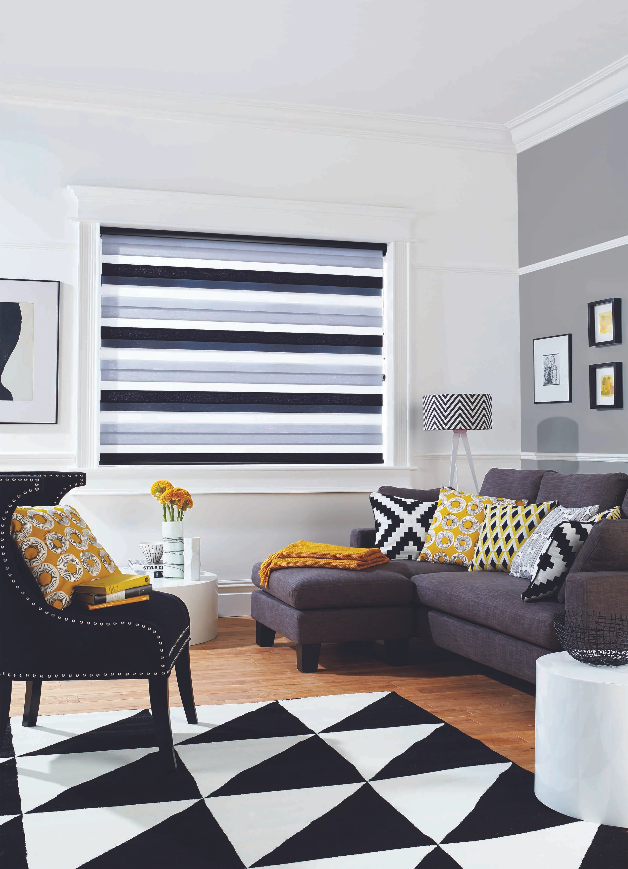 Quality Roller Blinds Hamilton Waikato Shutters & Blinds