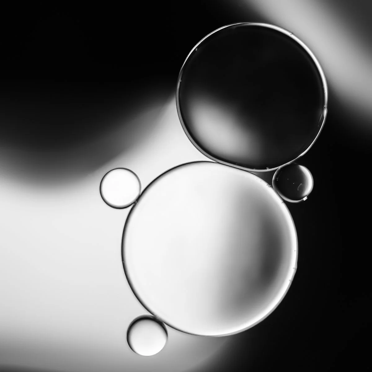 1W7A2019-Edit-2-Edit for comp.jpg