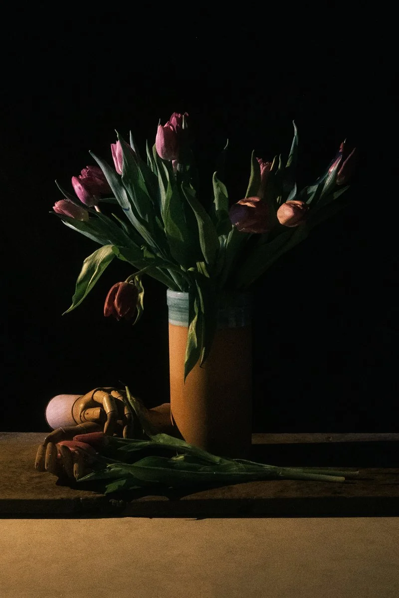 Shaping Light Workshop