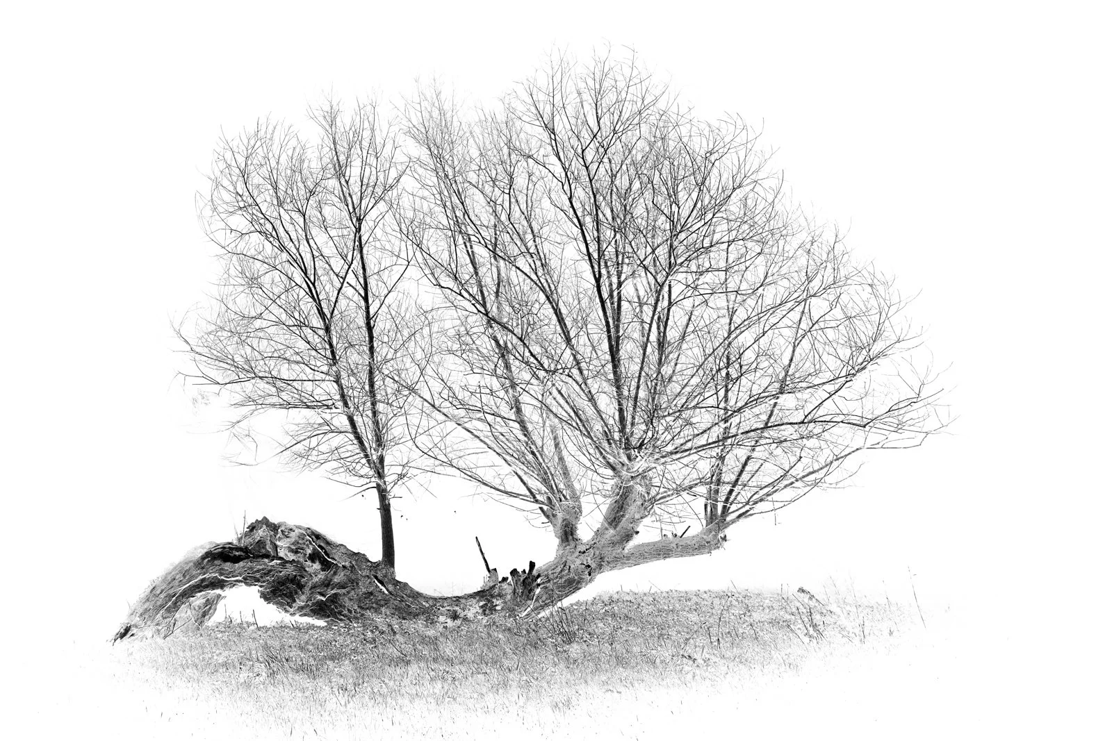 Veteran and Ancient Strike 2