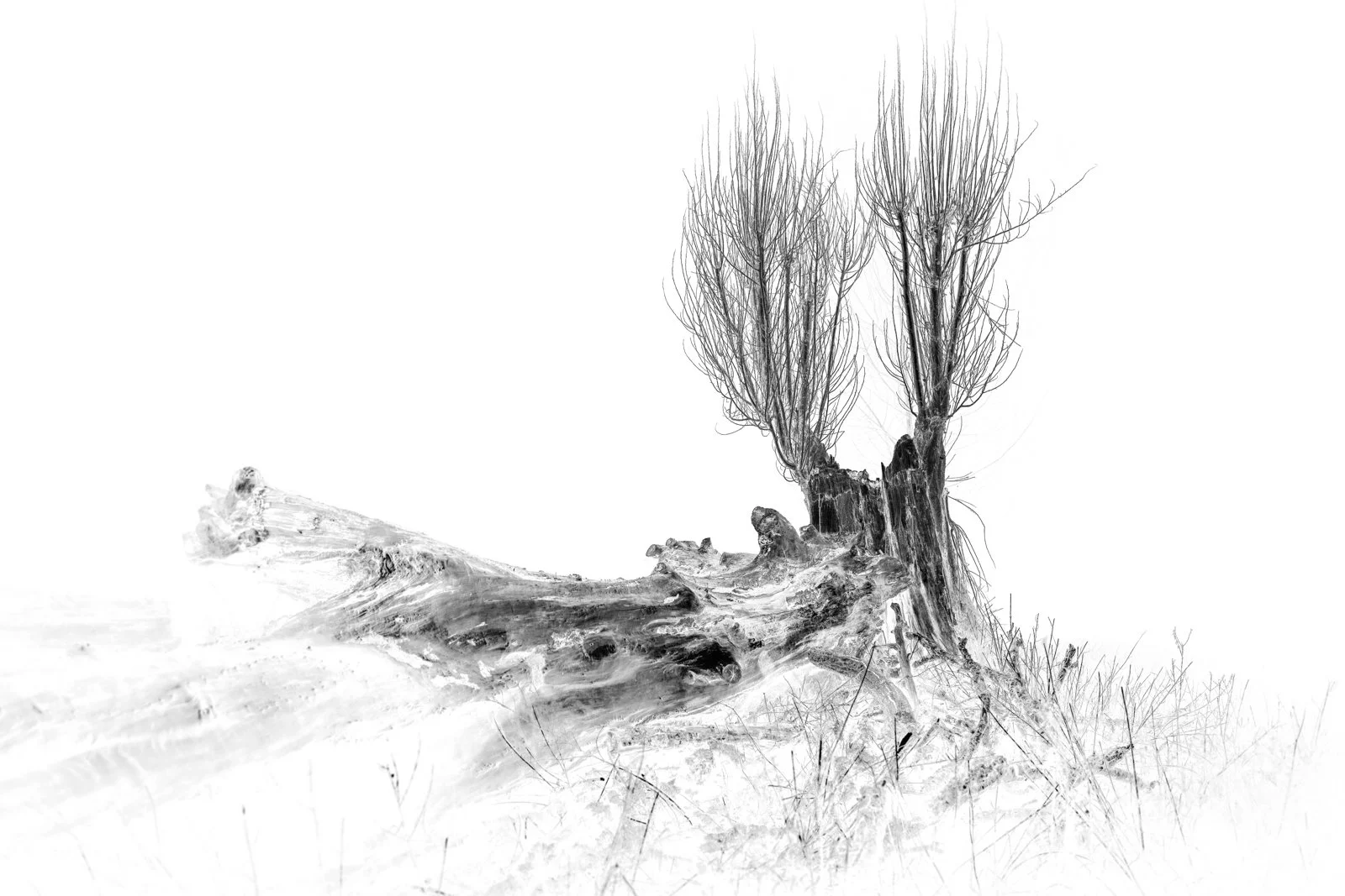 Veteran and Ancient Strike 3