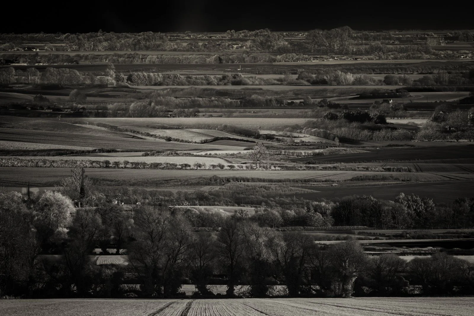 IMG_9680-Edit-Edit-Edit for comp.jpg