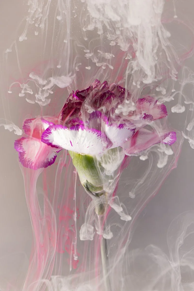 1W7A1916 for comp.jpg