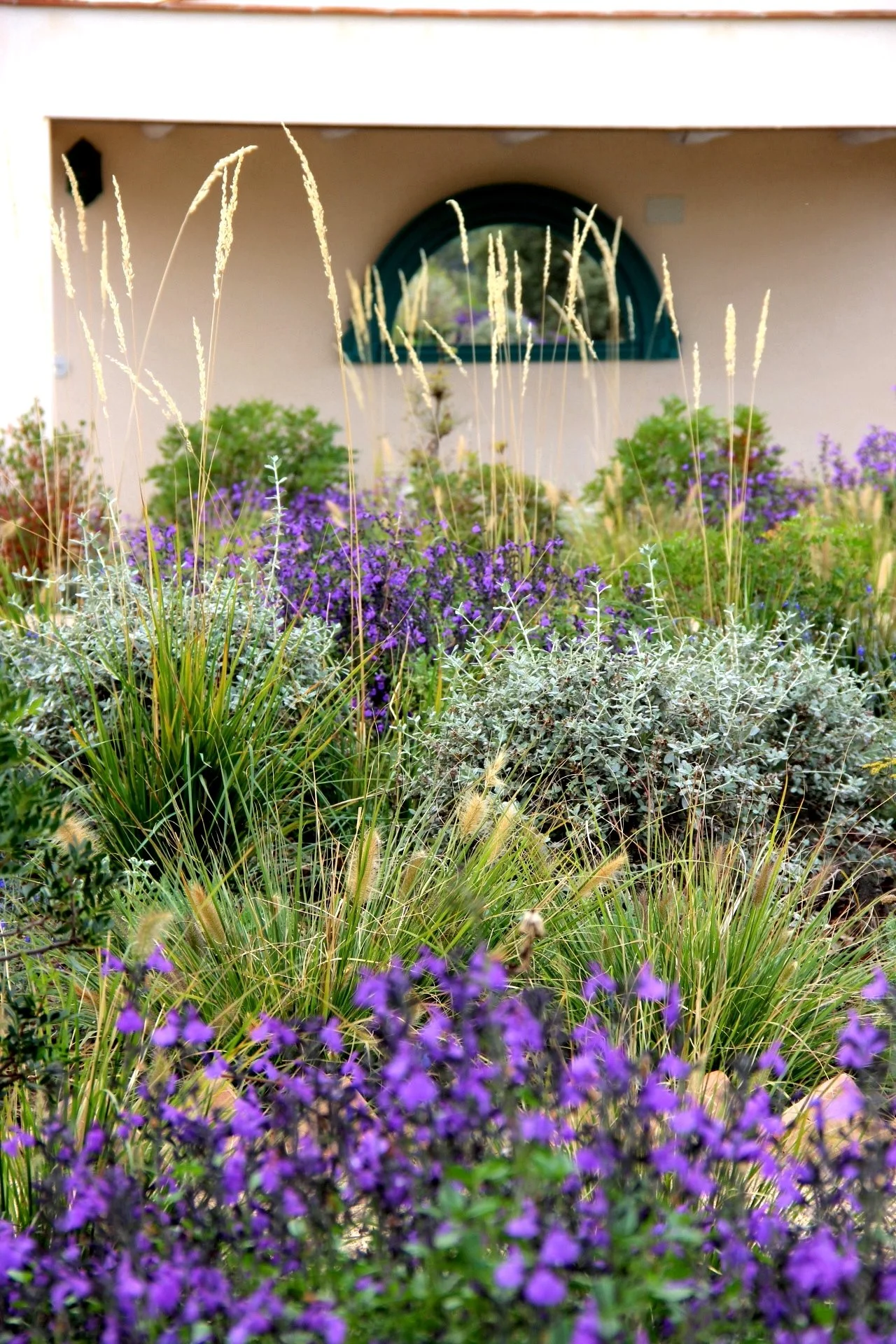 Mahillo NORTE_6629.JPG