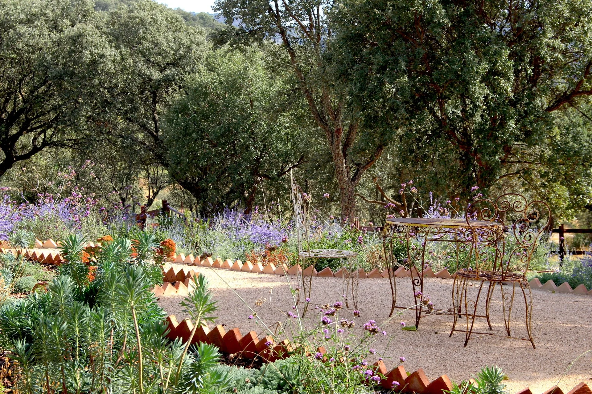 Mahillo INVITADOS.JPG