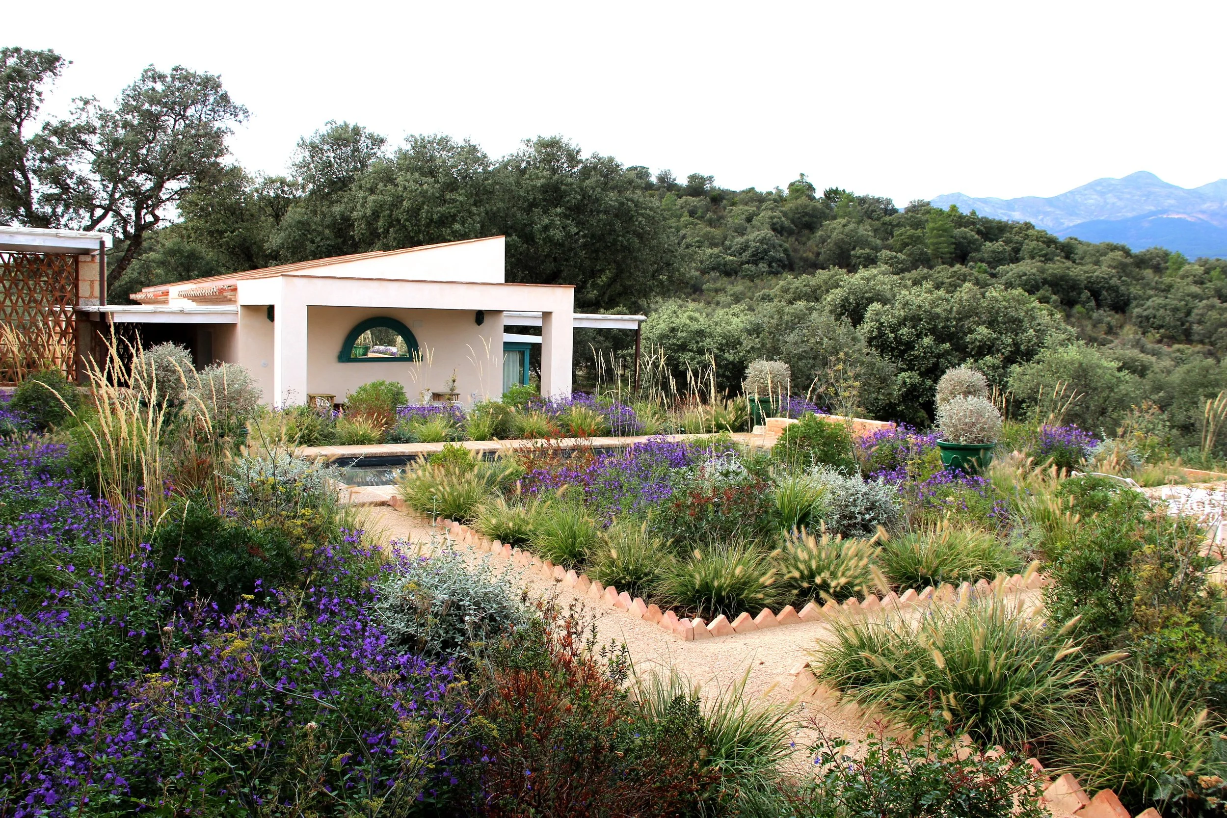 Mahillo NORTE_6674.JPG