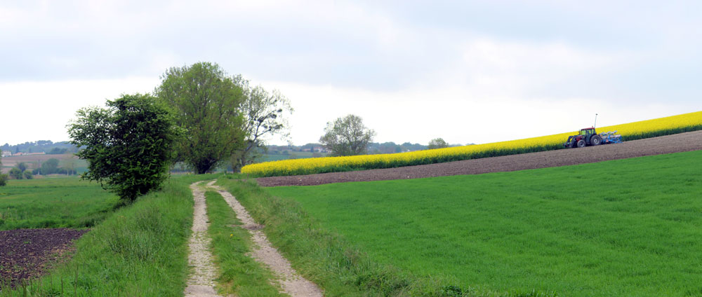 Panorama-MARAIS-SAINT-AUGUSTIN5.jpg