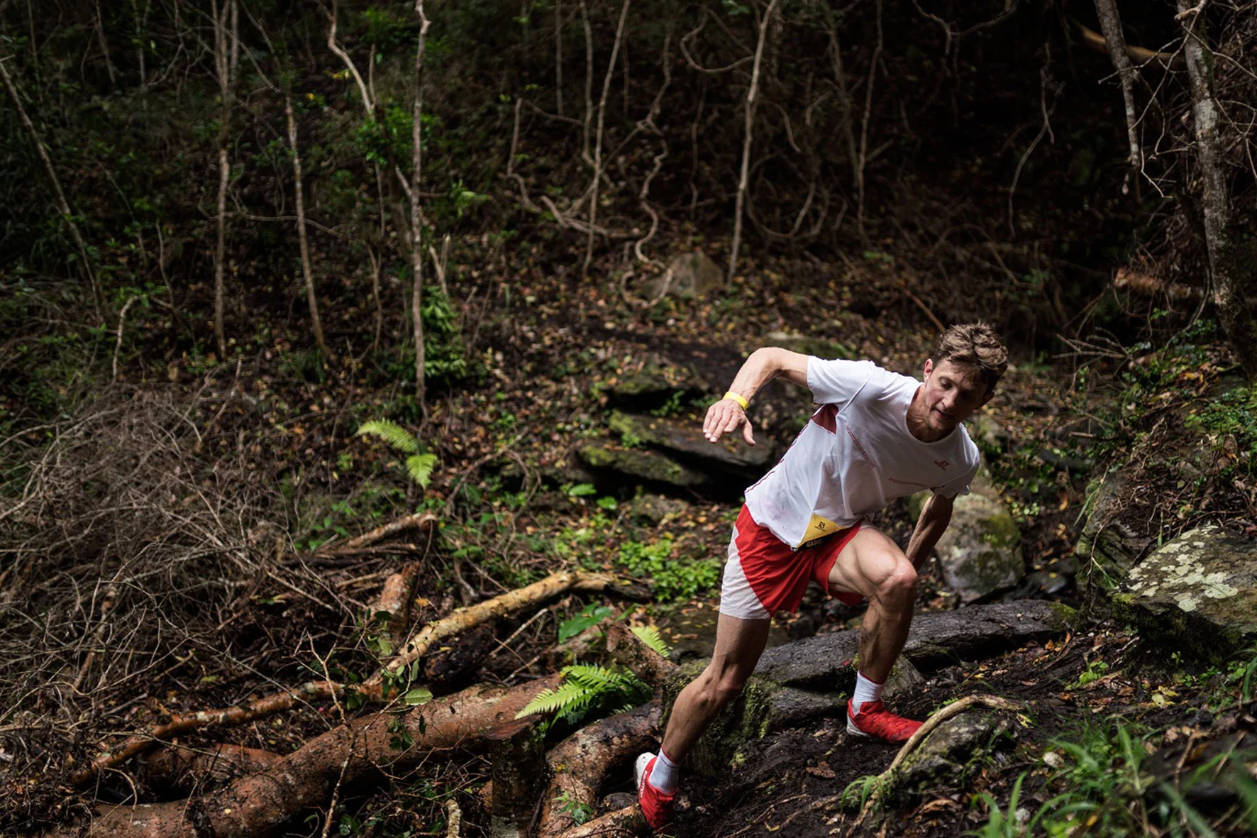 Runcation-Website-Otter3.jpg