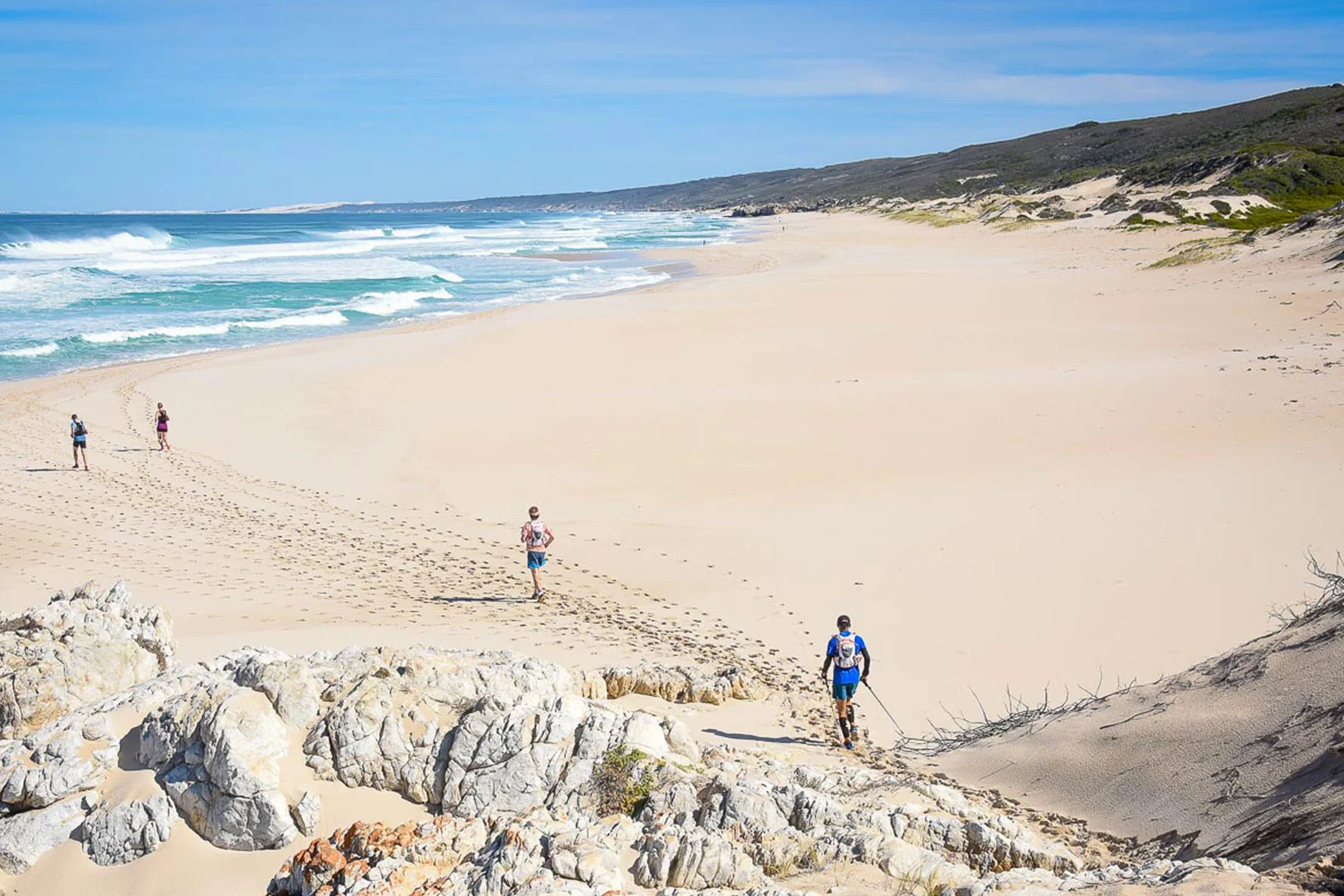 Runcation-Website-Whale3.jpg