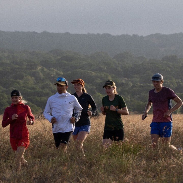 Looking back to move forward Part 3 👉

The 2022 UTCT safari was a largely American affair, with @poleary87 making sure his buddy @drew_holmen and his family could relish the same incredible experience he had back in 2019. 2021's guest @Sebspheler re