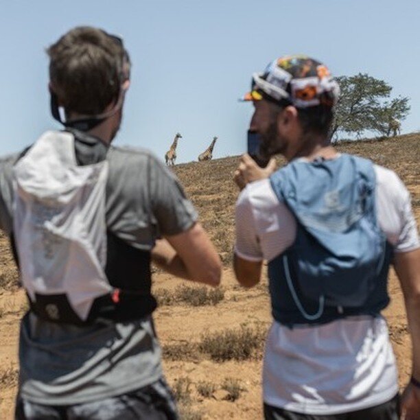 Looking back to move forward Part 1👉

2019: The inaugural @utct Safari.

We immersed ourselves in sundowners, game drives, seeking out the Big 5, flush walks and runs amidst the mesmerising African wildlife.

Evenings were spent at the renowned Leeu