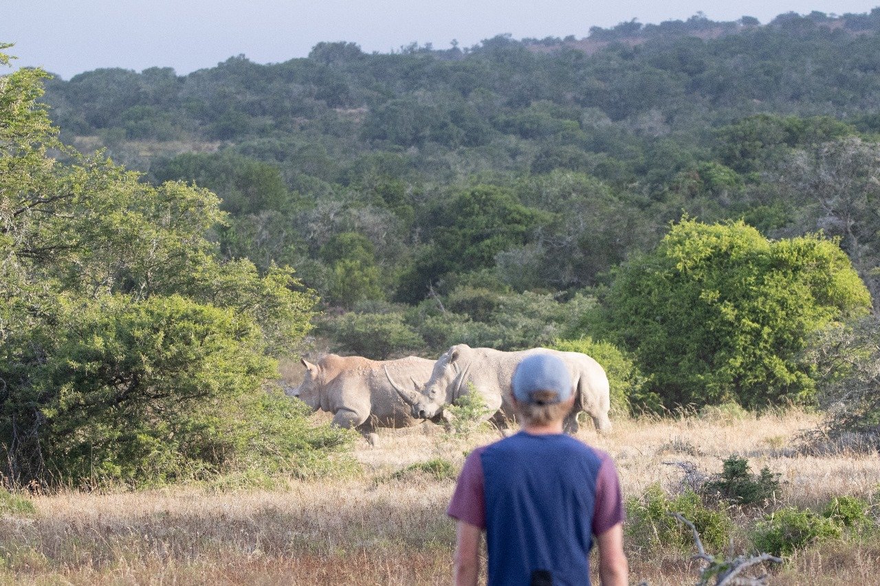 Run Safari South Africa