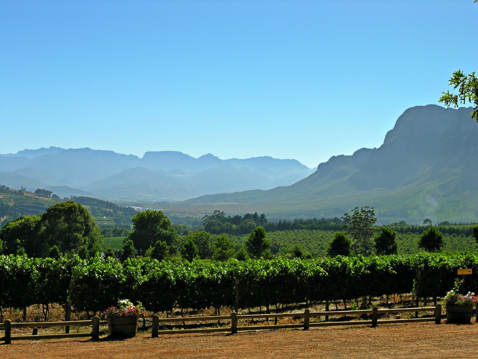 cape-town-winelands-stellenbosch-vineyards-and-mountain-range-scenic-beauty-wine-tasting-packages-program-holiday-vacation-things-to-do-in-cape-town-experience.jpg