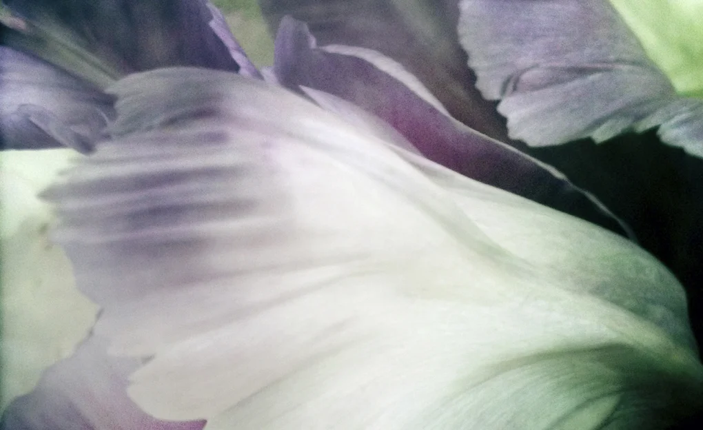 H.P.crop2-487070460.115981.jpg