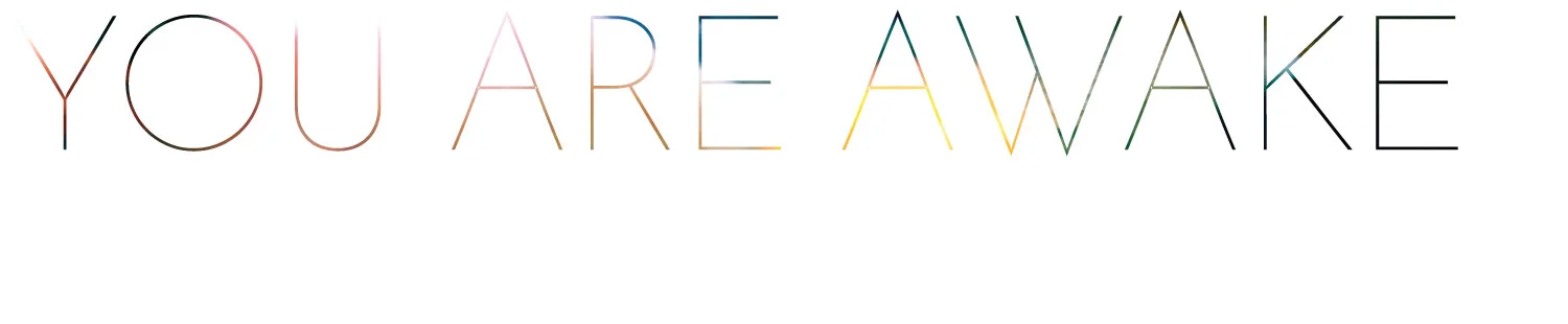 AWAKE-LONG.jpg