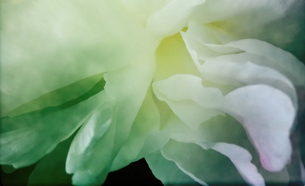 H.P.crop2-517405923.765681.jpg