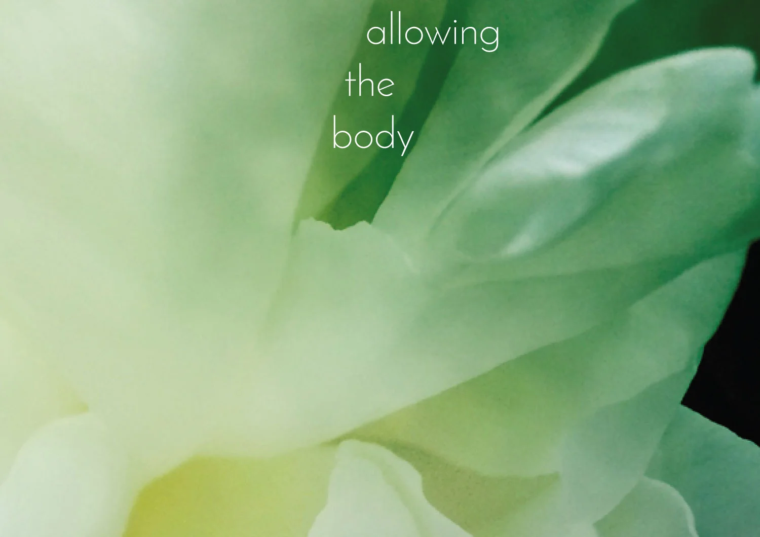 allowing-b.jpg