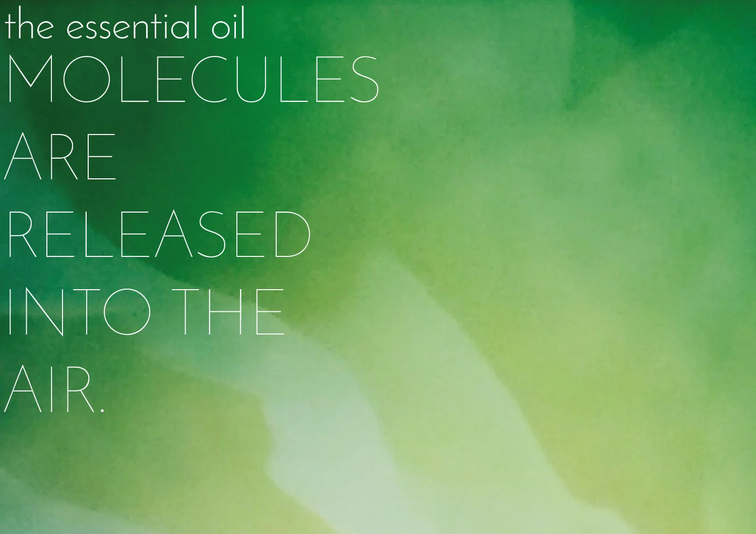 THE-MOLECULES.jpg