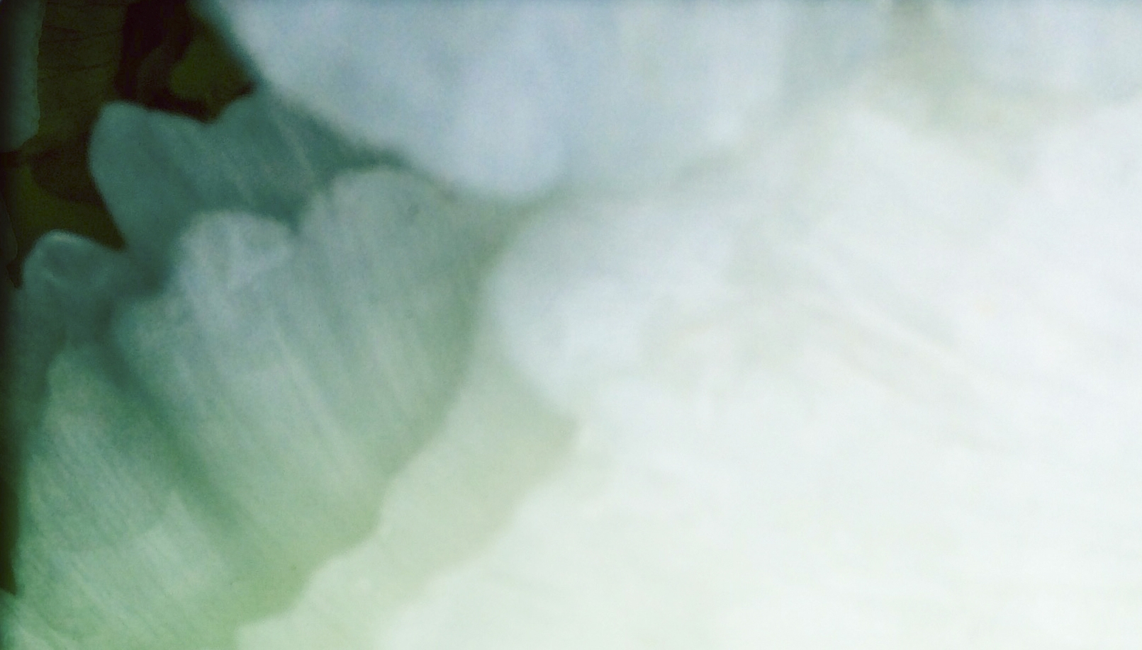 H.P.crop6-515332676.755274.jpg