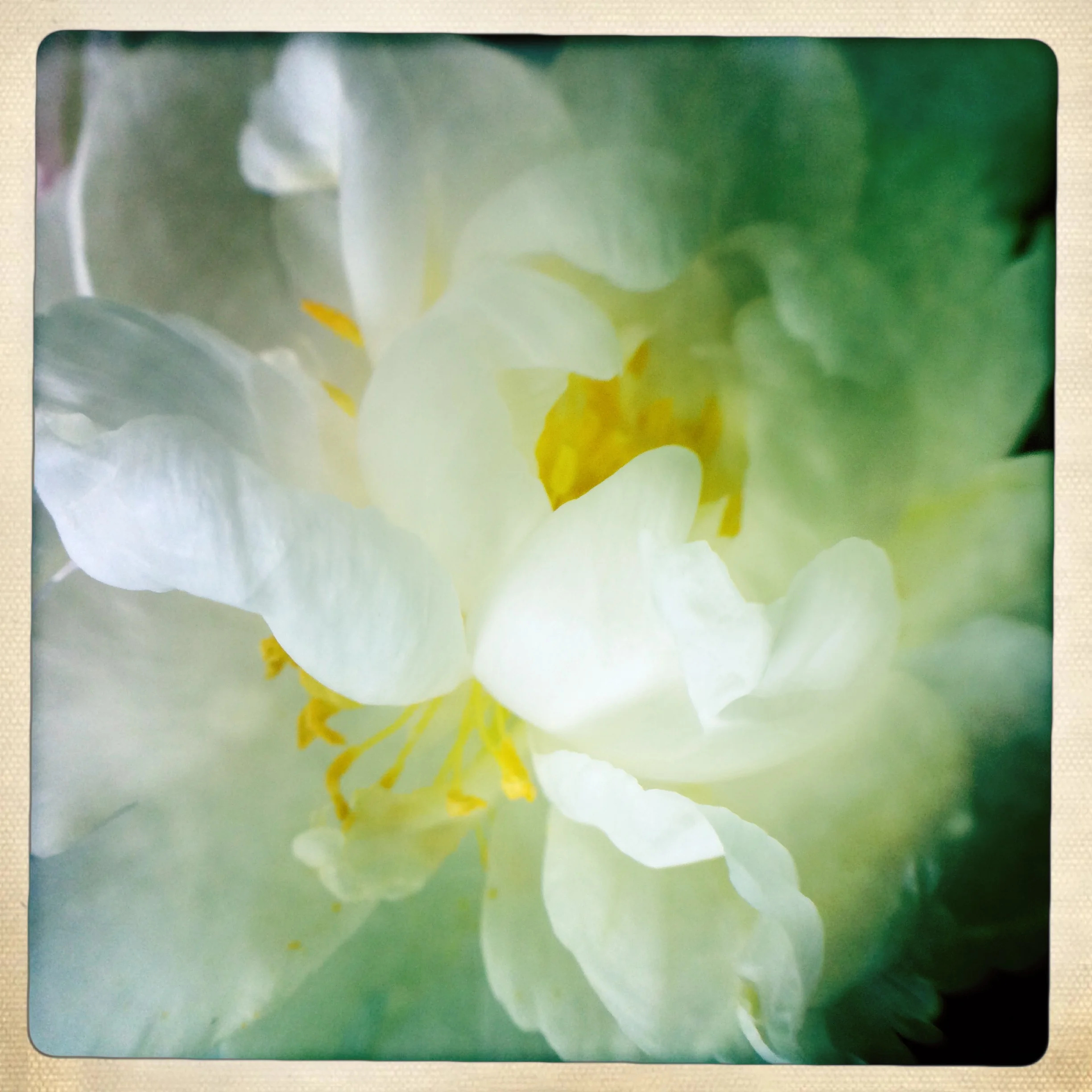 HipstamaticPhoto-517404899.463409.jpg
