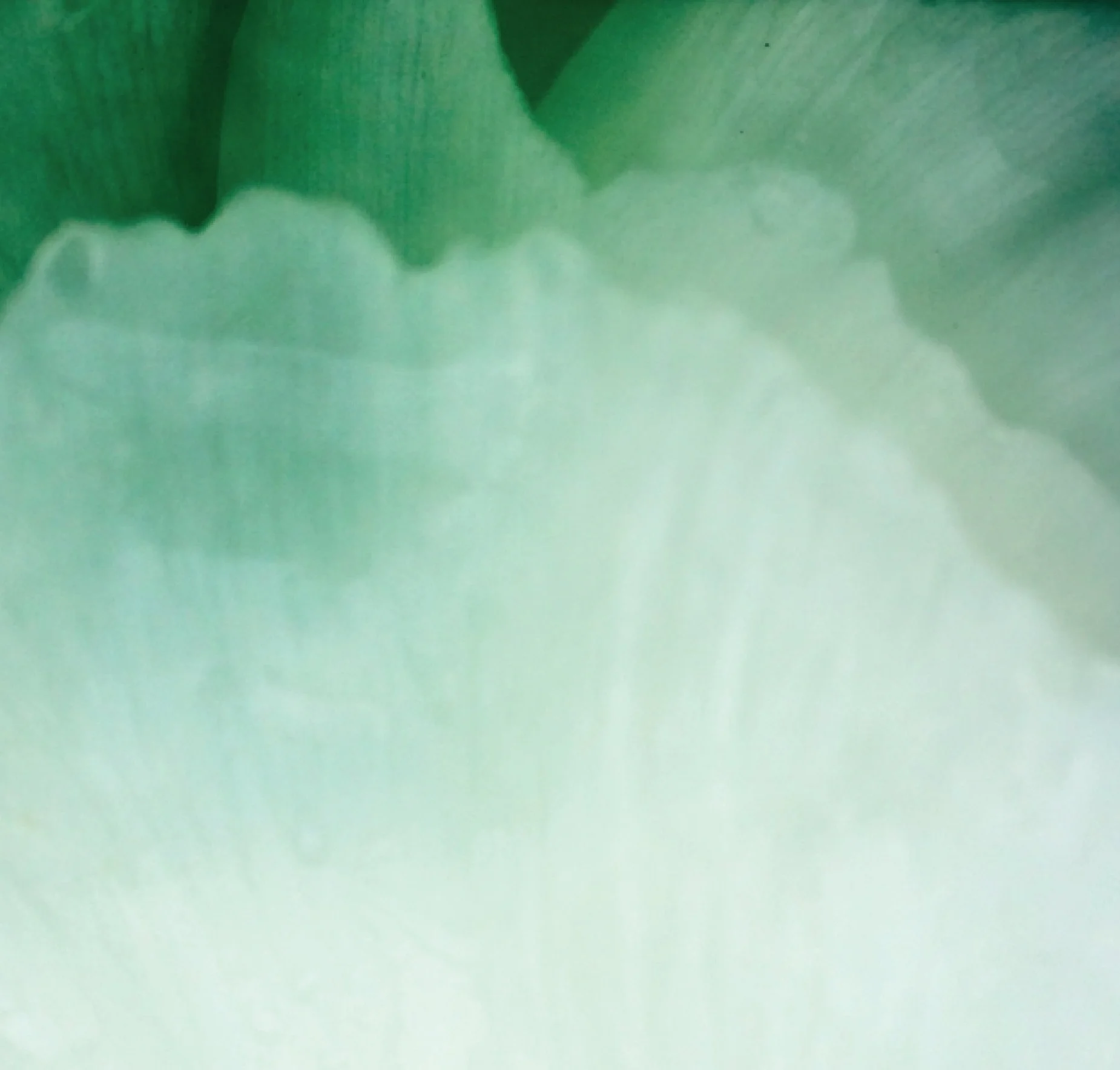 REIKI COVERS-2.jpg