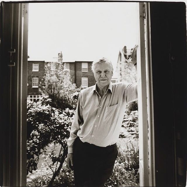 HAPPY BIRTHDAY David Attenborough #bornthisday 🎈#legend #davidattenborough