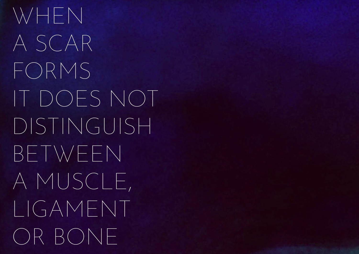 Untitled-14-7.png
