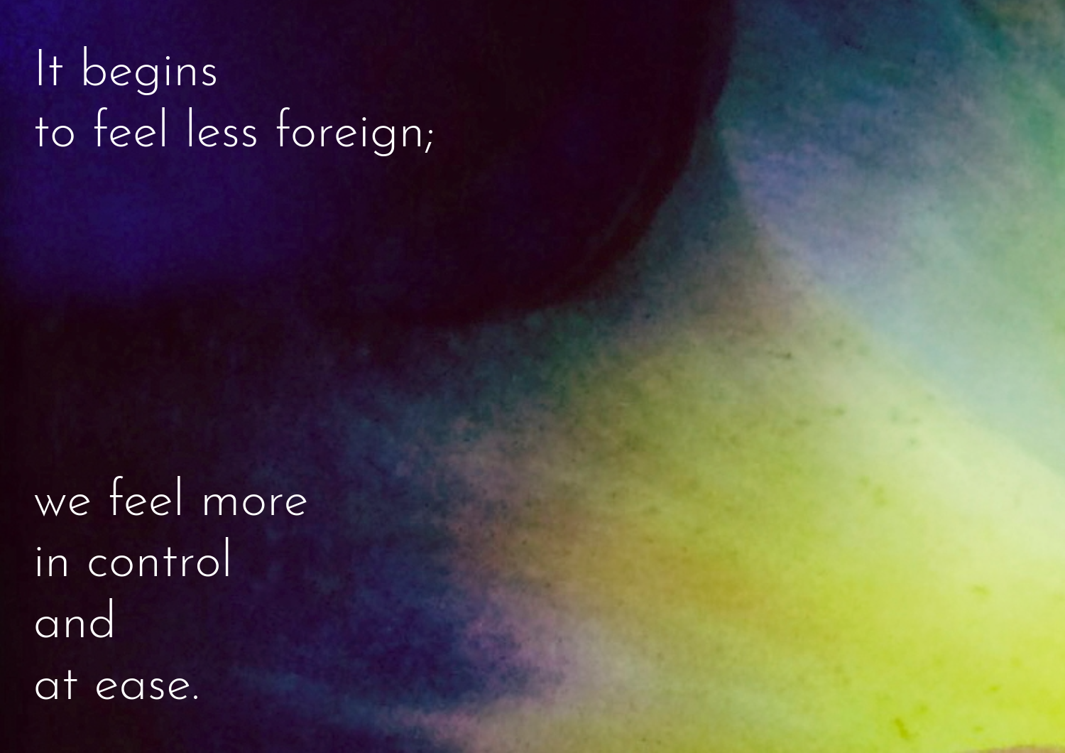 Untitled-32-3.png