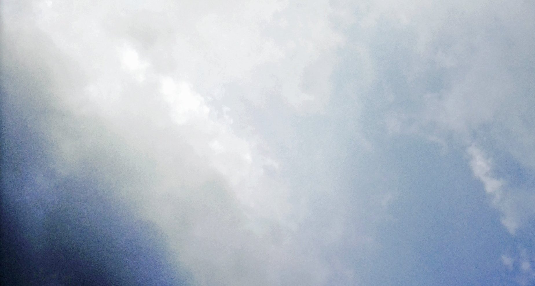 H.P.crop-536339251.350624.png