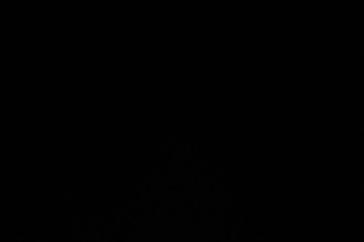 Zoom-20110731-08-44-38.jpg