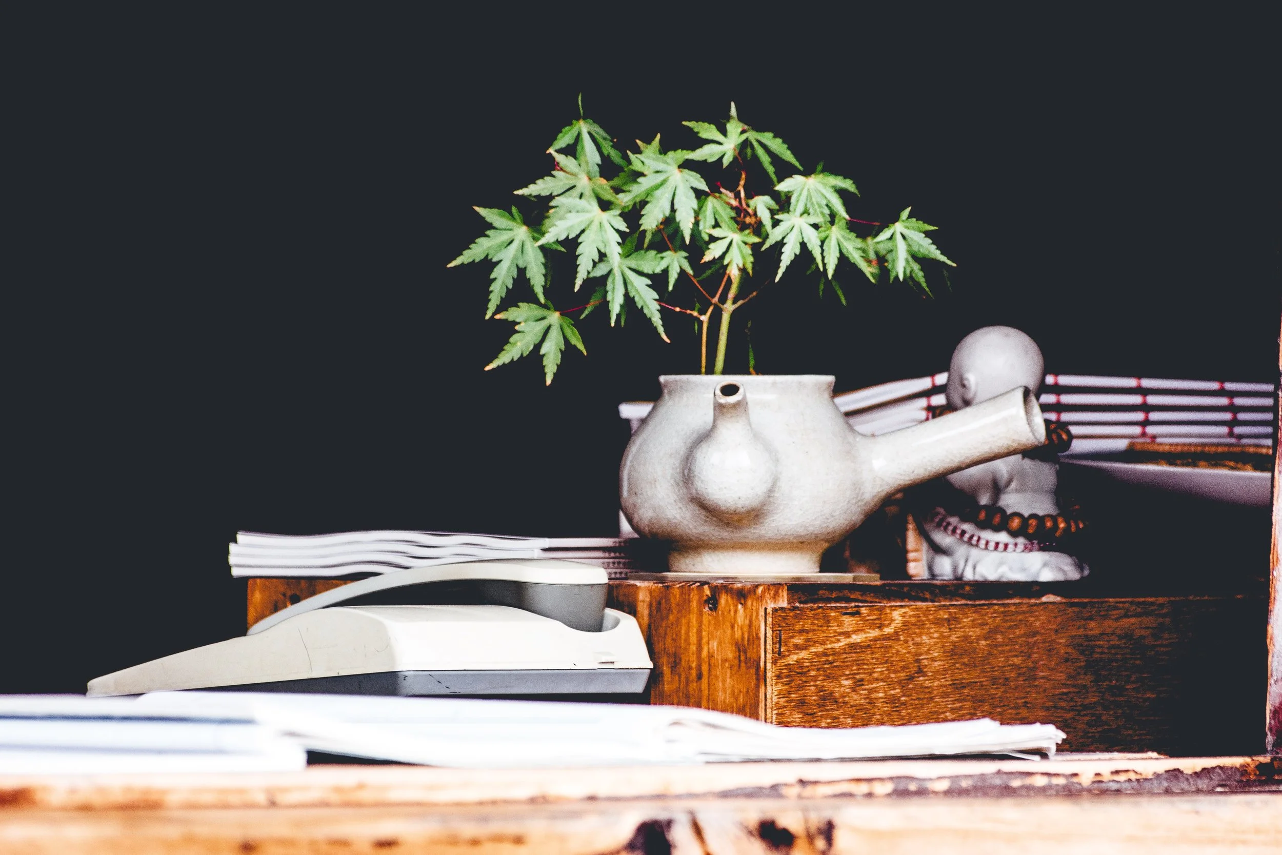 The Ultimate Legal Guide To Medical Cannabis