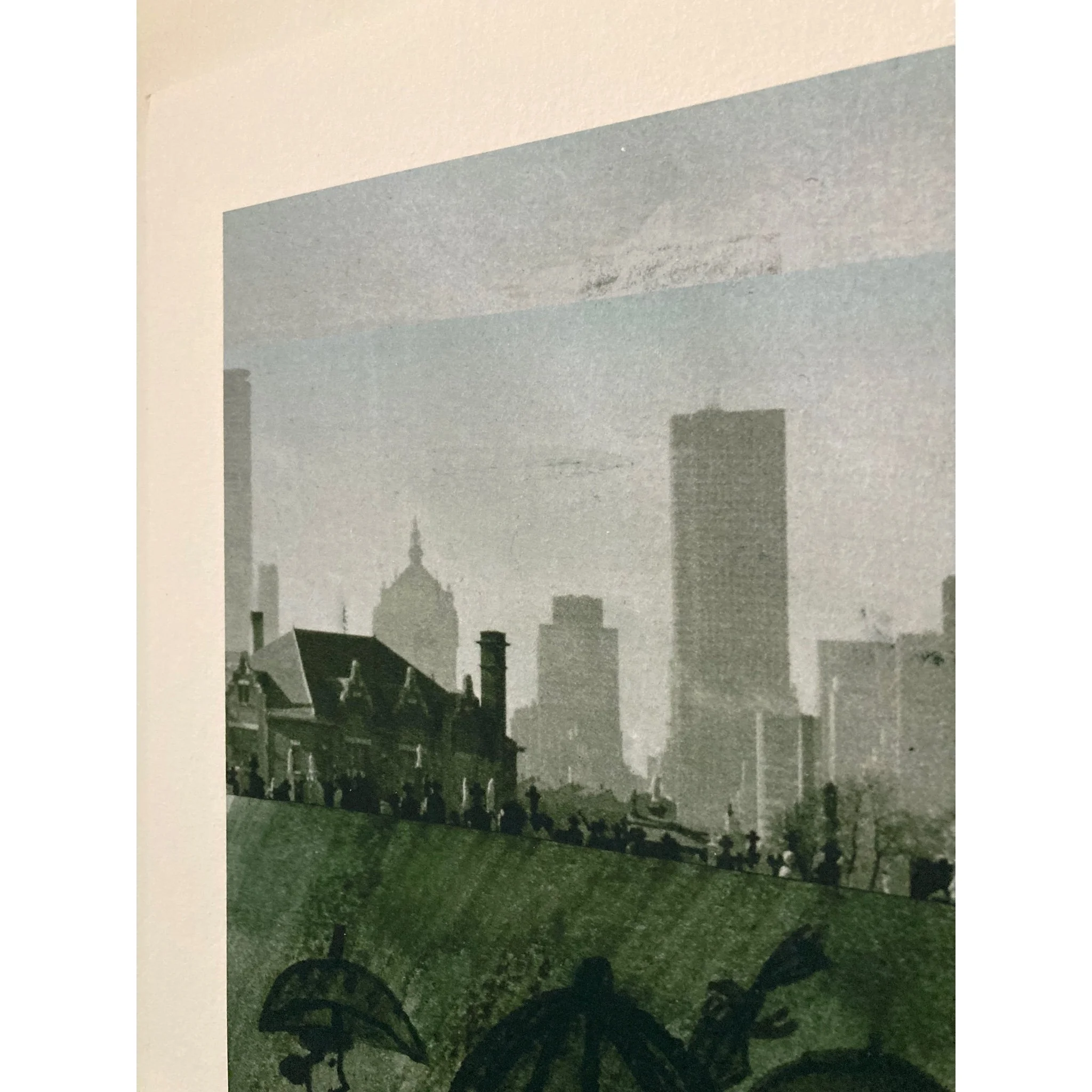 22C7CFF4-A219-4437-92B0-8AAF8E5F2881.jpeg