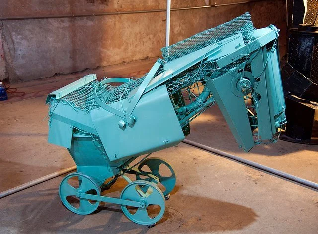 Monumetal Never look a gift horse.jpg