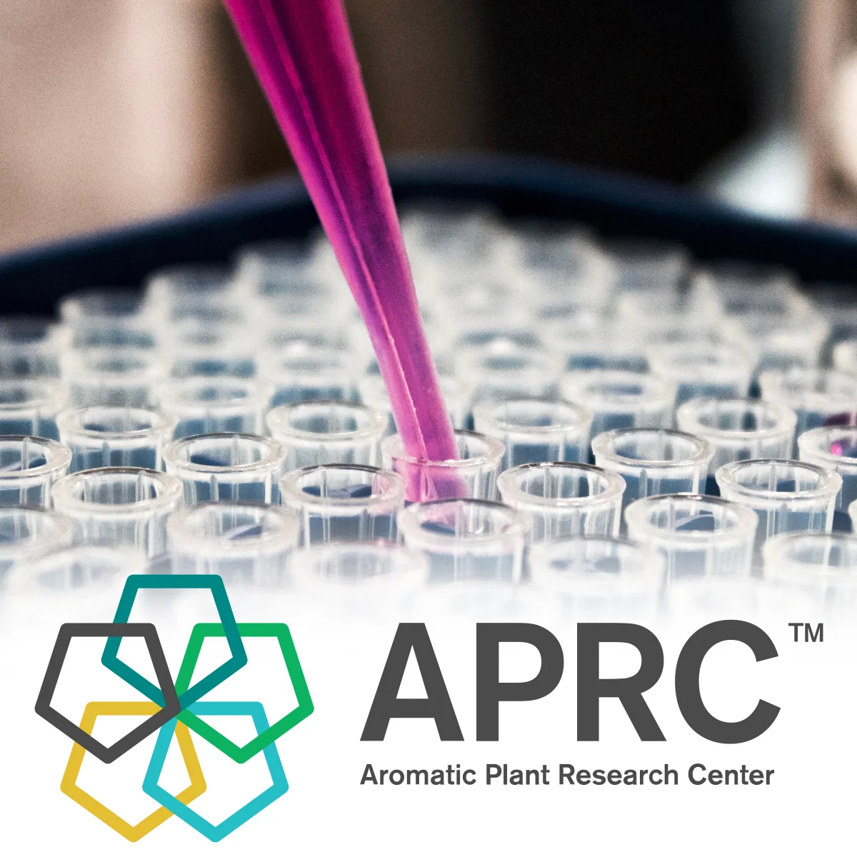 proving-purity-banner copy.jpg