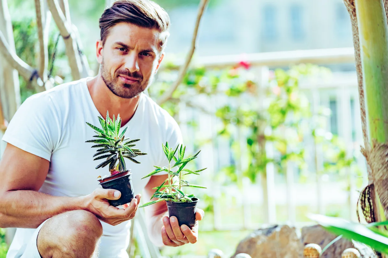 iStock-926116834.jpg