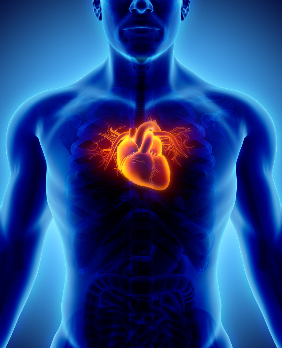 heart-sound-recorder .jpg