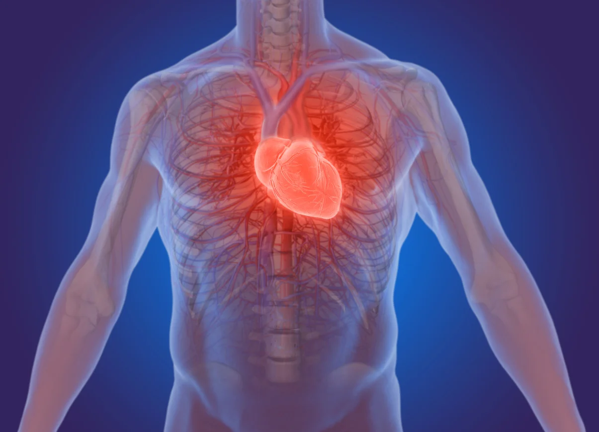 heart-sound-recorder-test.jpg