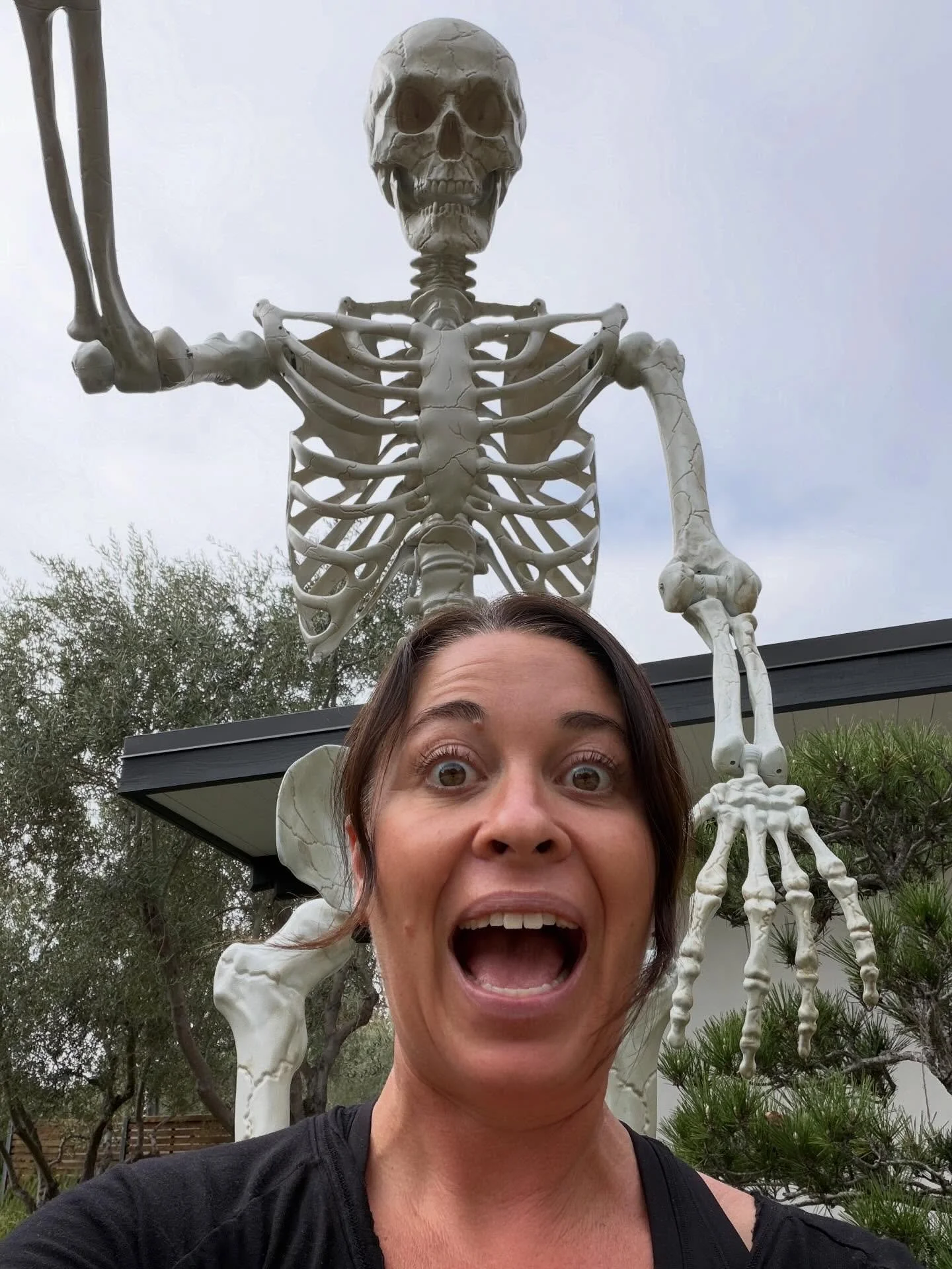 Who's afraid of the post-holiday mess?! Halloween is over and you know what's next? TIME TO GET READY FOR WINTER DECOR!!! Need help decorating? Book us now, we're also pre-booking January cleanups. No need to be spooked!