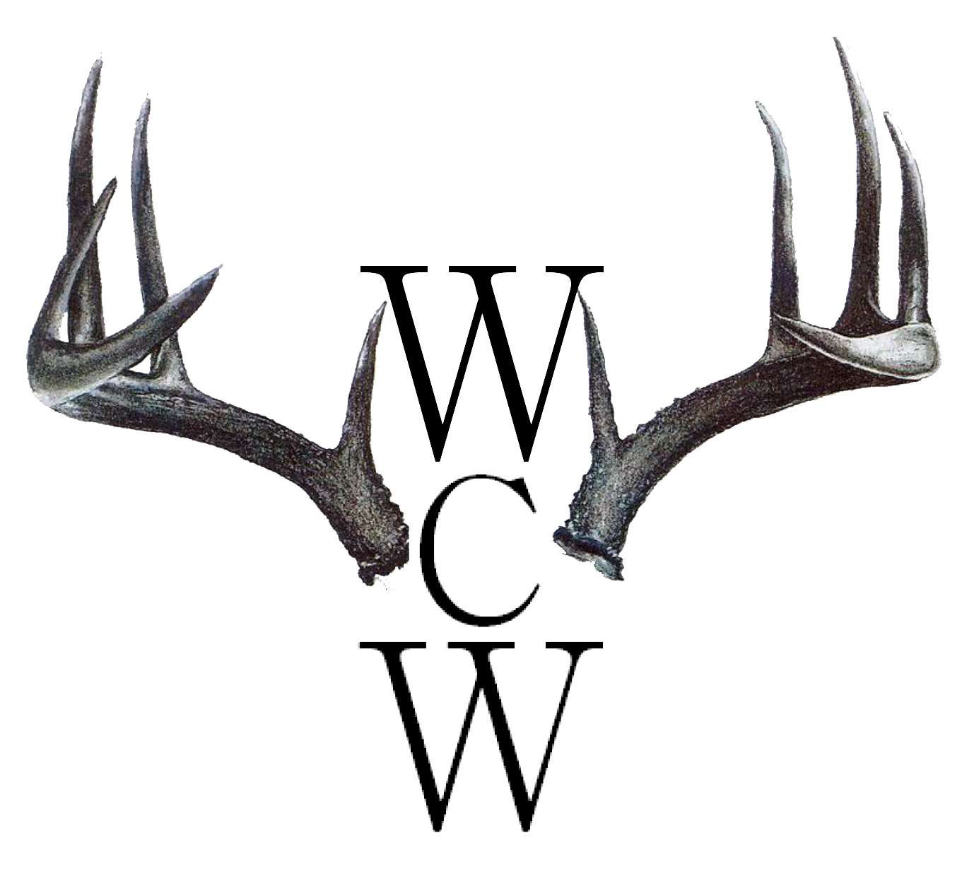 wcw-temp logo.png