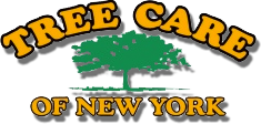 tree-care-of-newyork.png