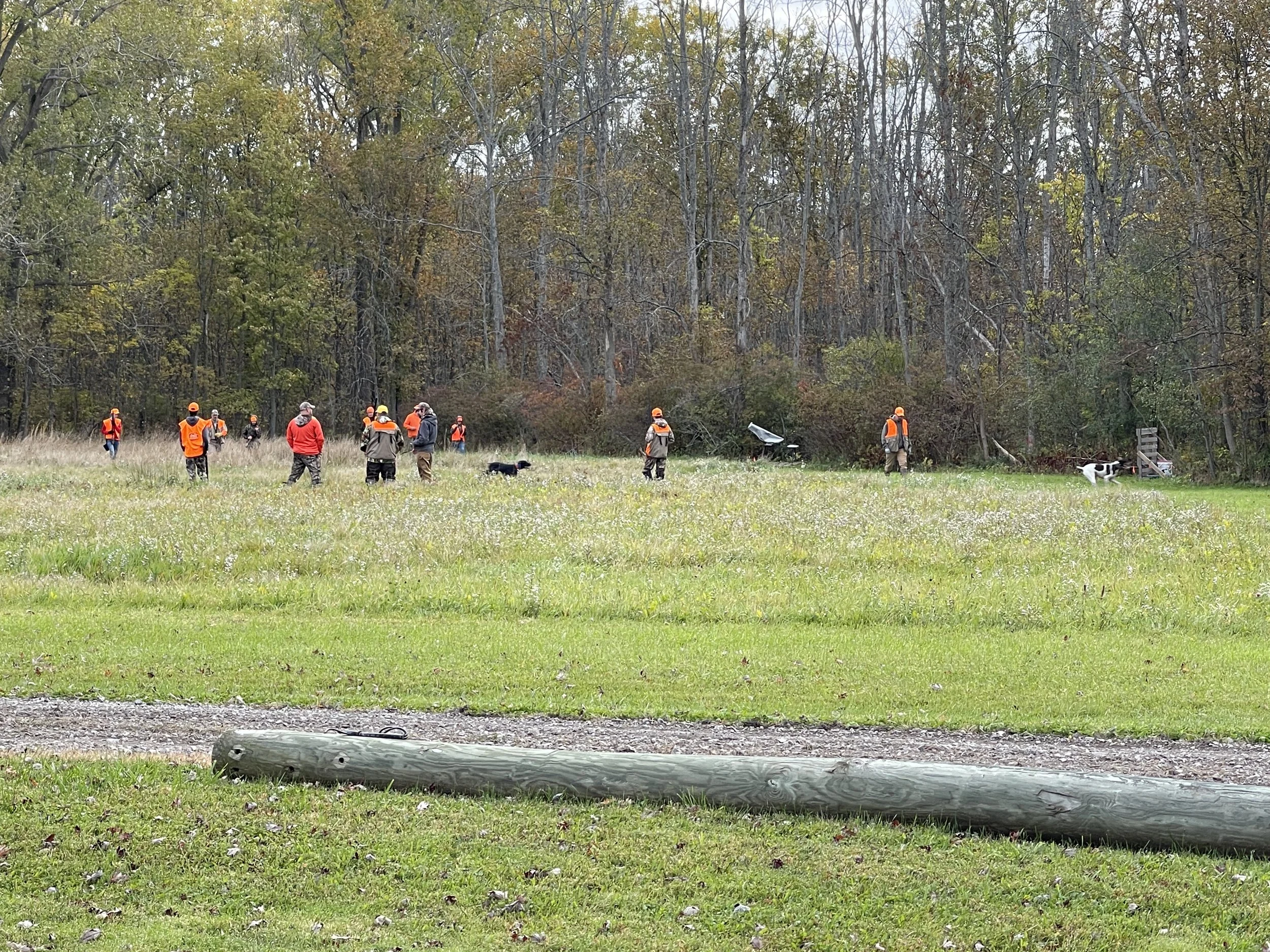 IMG_1463.JPG