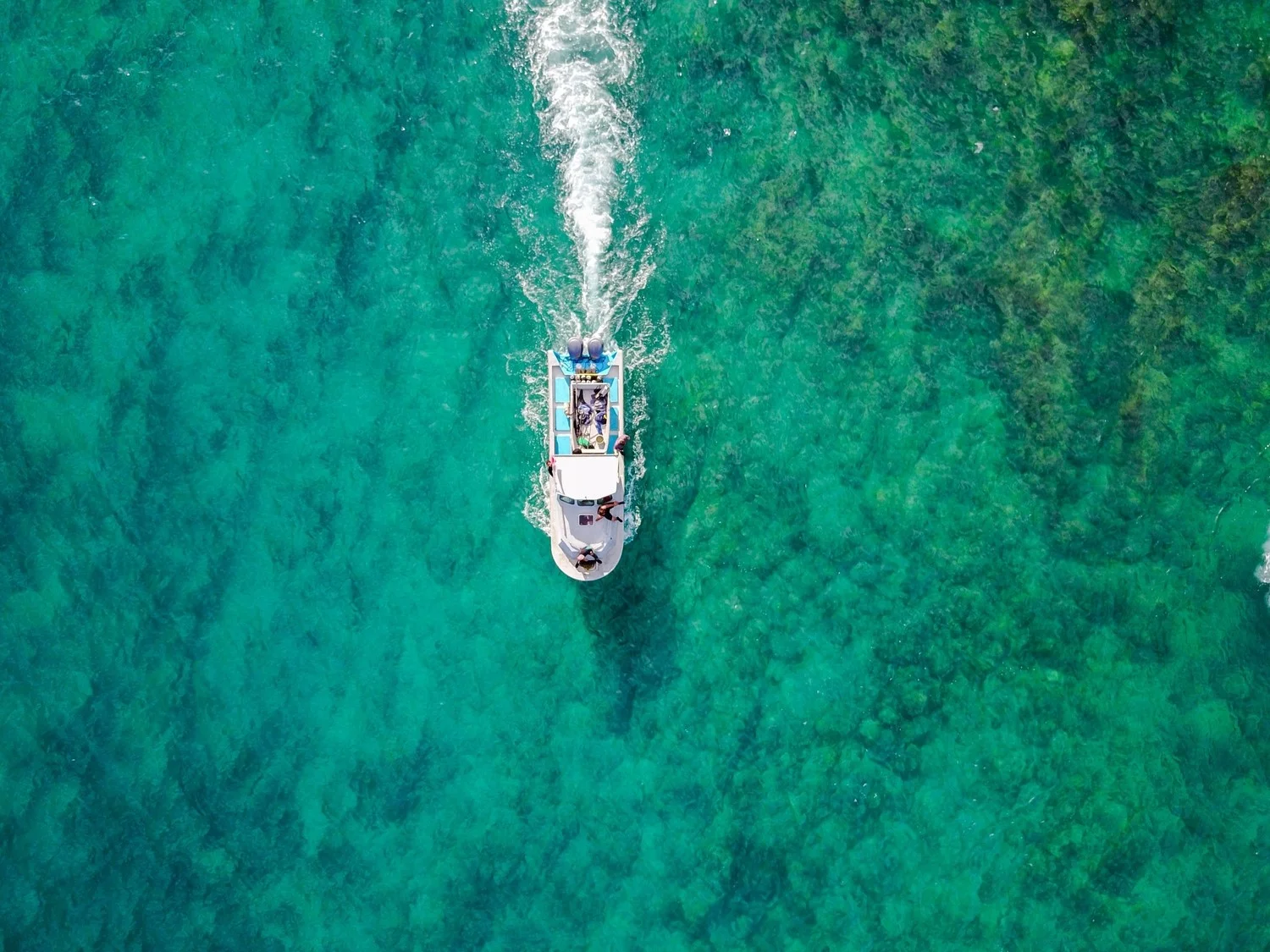 Yacht Week Photo.jpg