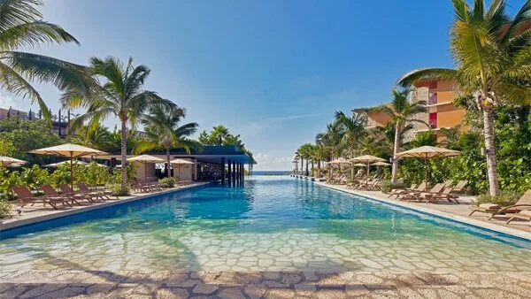 Chelsea's Last Cha-Cha 