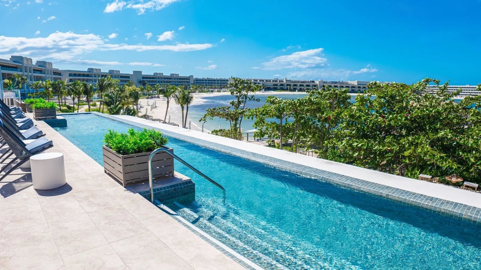 princess senses banner.jpeg